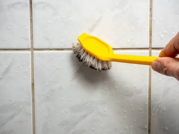 Best Mold Cleaning Services  in Van Buren, MO