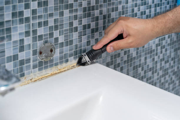 Best Mold Remediation  in Van Buren, MO