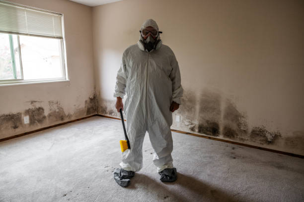 Van Buren, MO Mold Removal Company